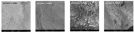 SEM images (a-b: 3000x magnification) and (c-d: 7000x magnification) of the samples from Zones 3 and 7 extruded at 50 rpm.