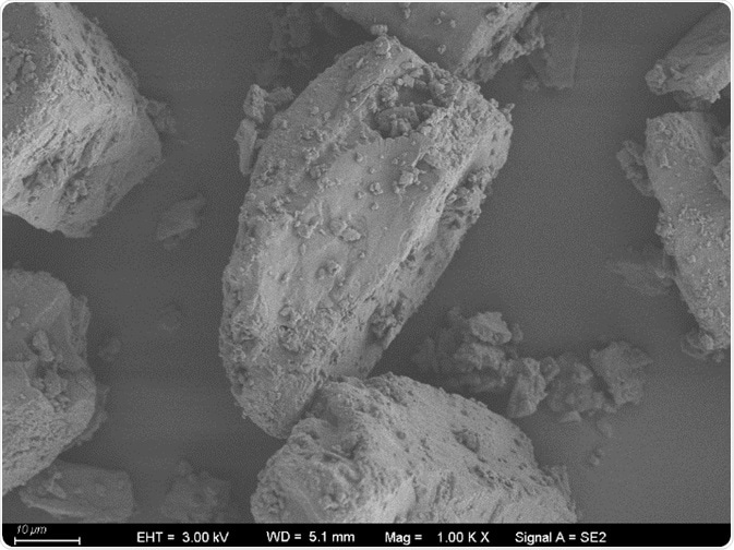Particle image of No.2 micronized lactose sample.