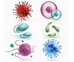Types of Microbes