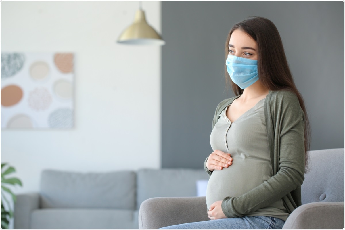 Study: Integrated immune networks in SARS-CoV-2 infected pregnant women reveal differential NK cell and unconventional T cell activation. Image Credit: Pixel-Shot/ Shutterstock