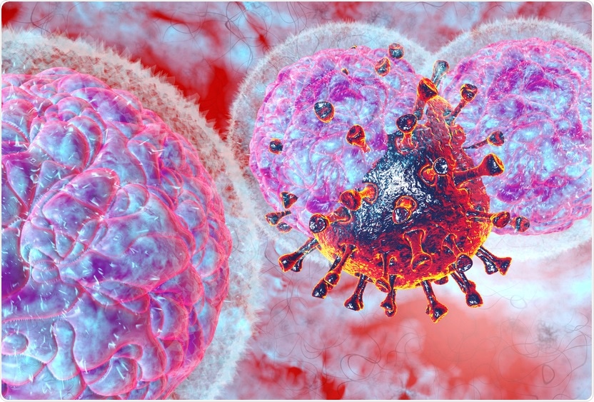Study: The timing of natural killer cell response in coronavirus infection: a concise model perspective. Image Credit: Numstocker / Shutterstock