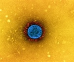 Scientists develop a novel and potent SARS-CoV-2 RBD-homodimer vaccine