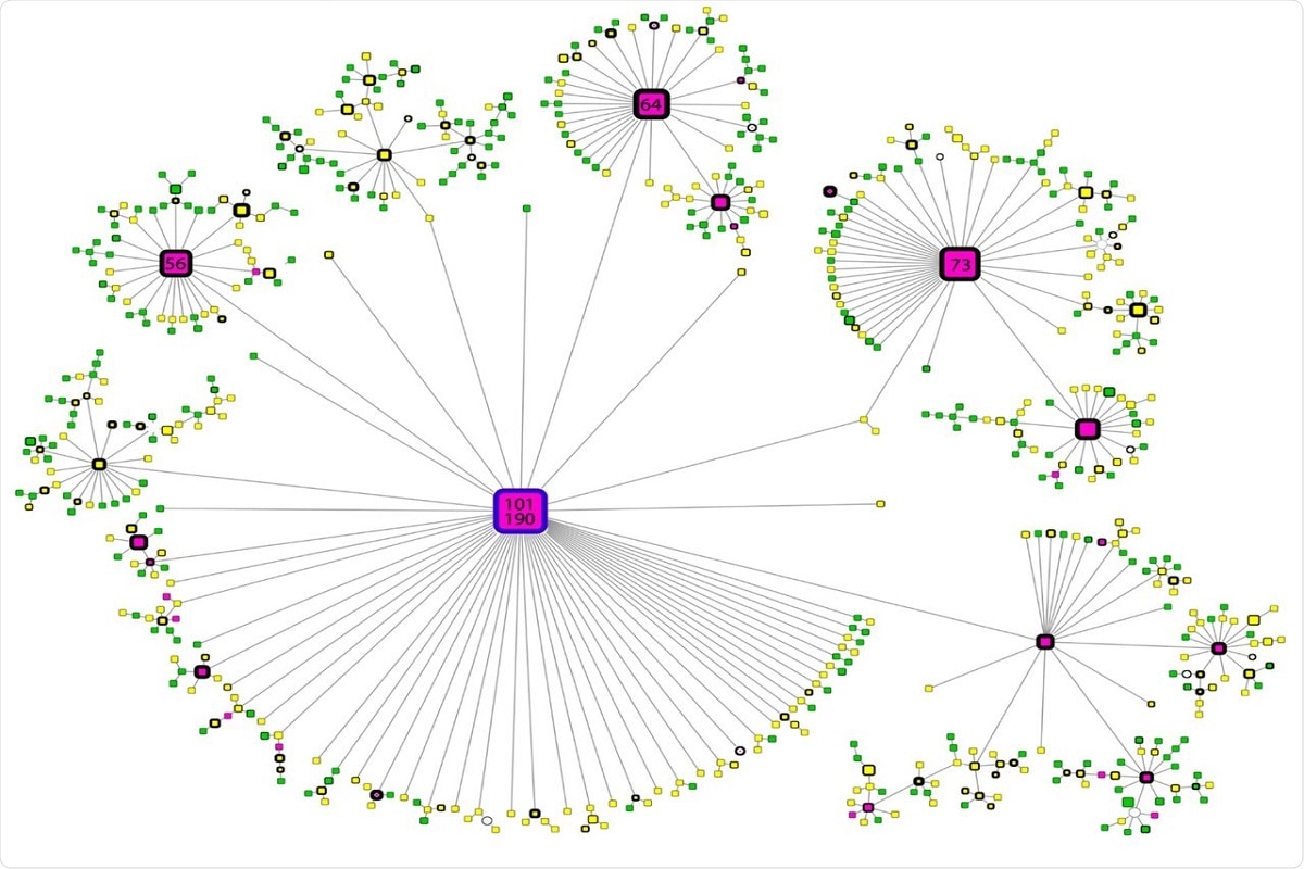 Figure 4. Haplotype network of B.1.1.519 sequences. Node colors represent the month of appearance (pink: November or December, yellow: January, February or March; green: April or May). Node size is proportional to the number of samples for that specific haplotype, and border width is proportional to the prevalence of the haplotype. Numbers correspond to the number of samples for that specific haplotype. The blue-bordered node indicates the haplotype with the most ancient appearance date for lineage B.1.1.519.
