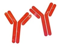 SARS-CoV-2 emerging variants: Antigens, antibodies, ELISA kits, and more