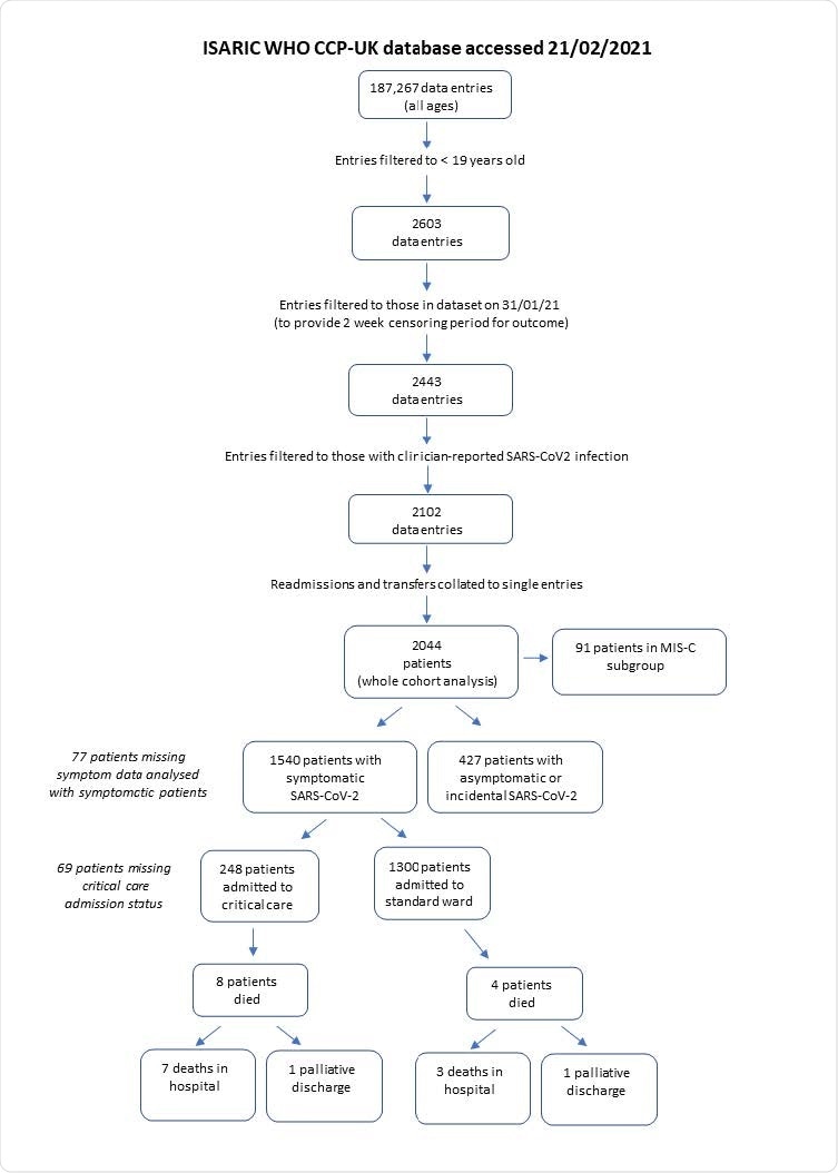 Flowchart of patient inclusion and outcomes