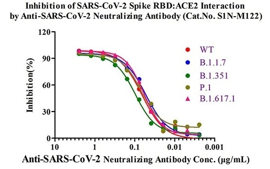 Neutralization of SARS-CoV-2 WT RBD and Alpha, Beta, Gamma, Kappa variant by a broadly neutralizing antibody (Cat. No. S1N-M122).