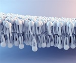 Highly Reproducible & Efficient Phospholipid Removal