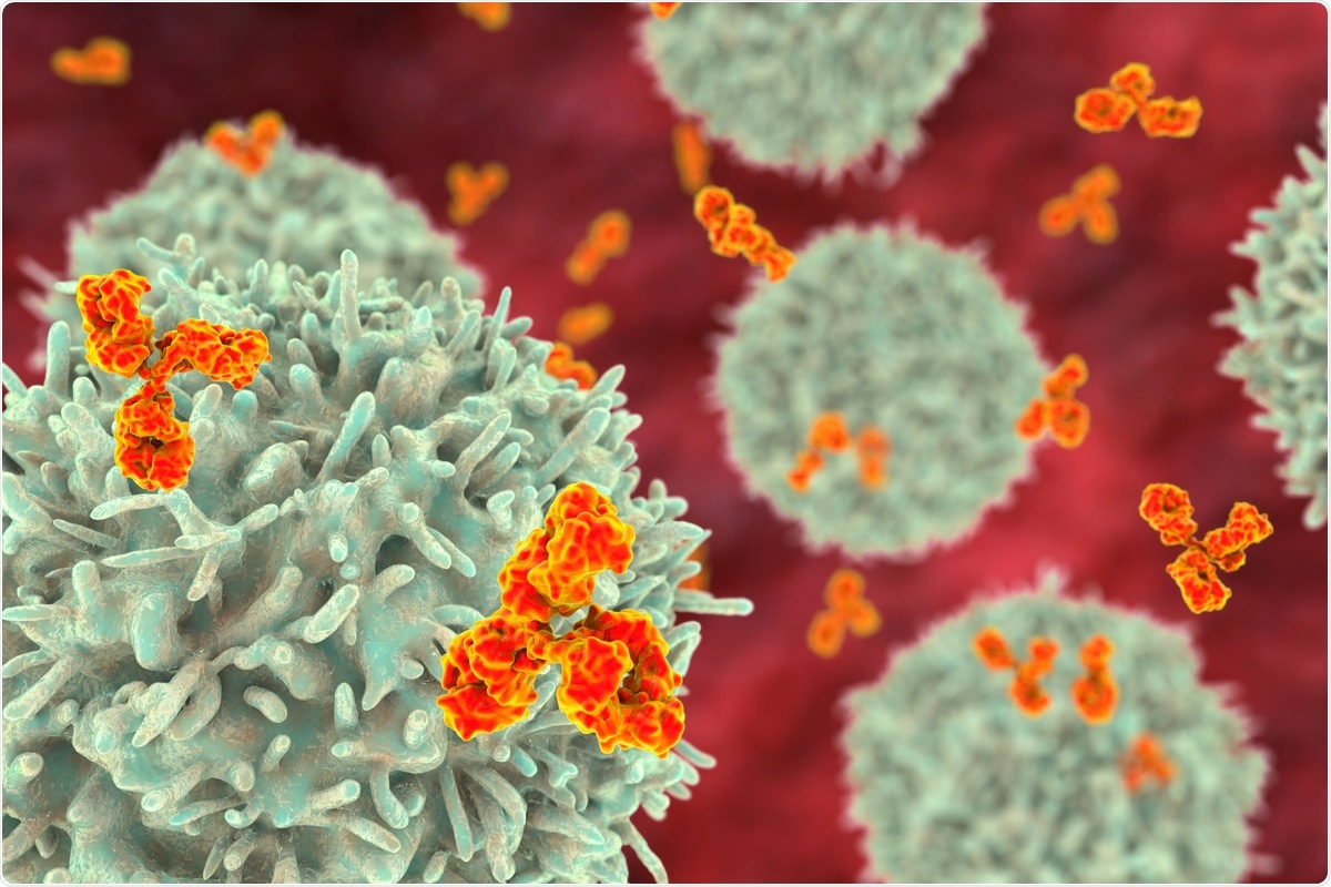 Study: No substantial pre-existing B cell immunity against SARS-CoV-2 in healthy adults. Image Credit: Kateryna Kon/ Shutterstock