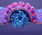 SARS-CoV-2 NSP1 protein suppresses host genes while enhancing viral RNA expression
