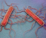 What is Listeria?
