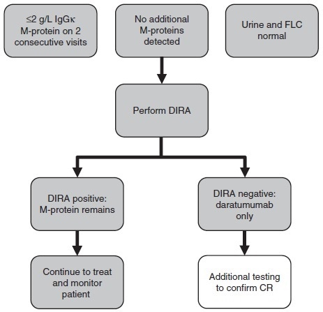 Testing algorithm to implement DIRA for clinical response assessment.