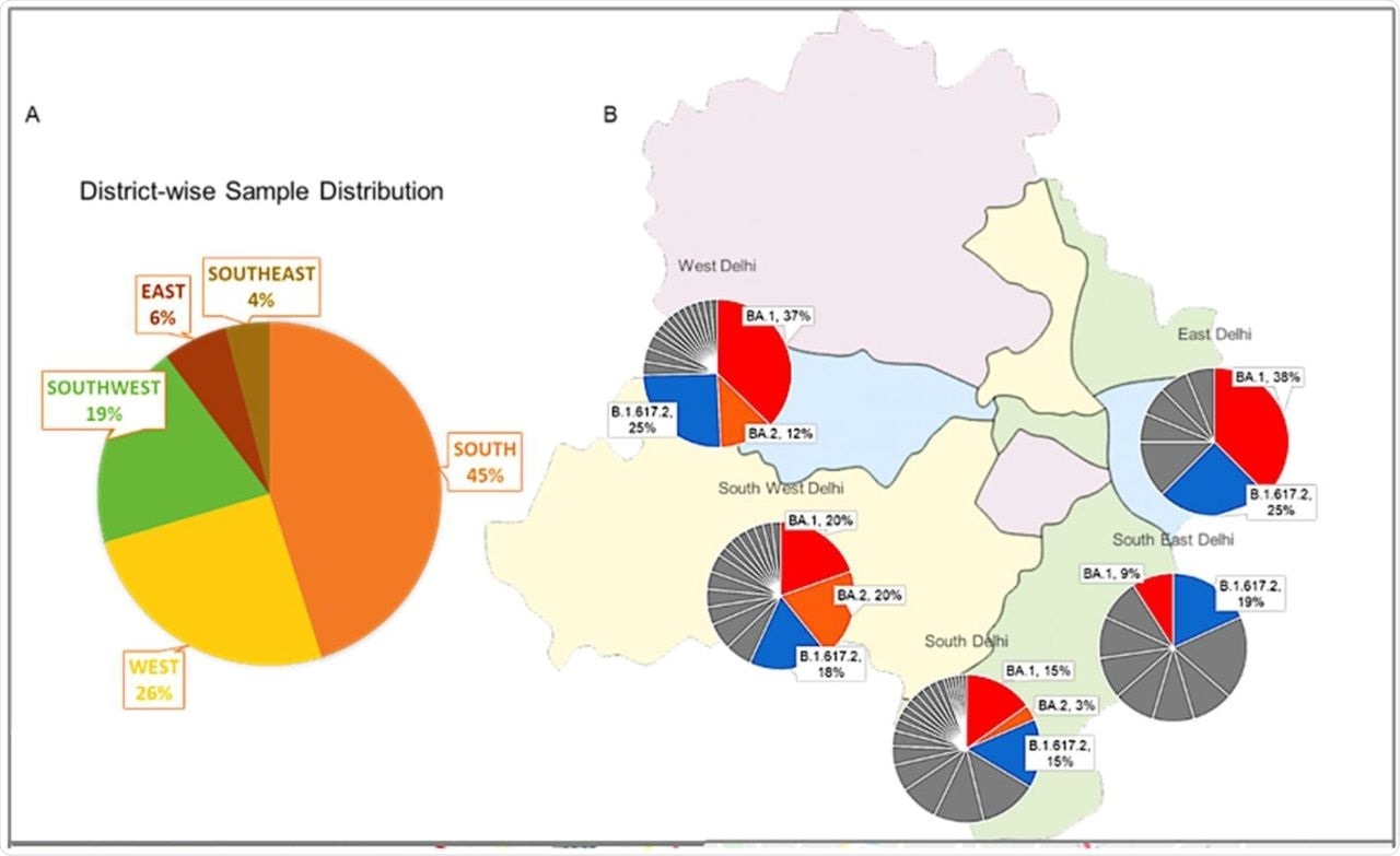 Distribution of SARS-CoV-2 lineages and sub-lineages among five studied districts.