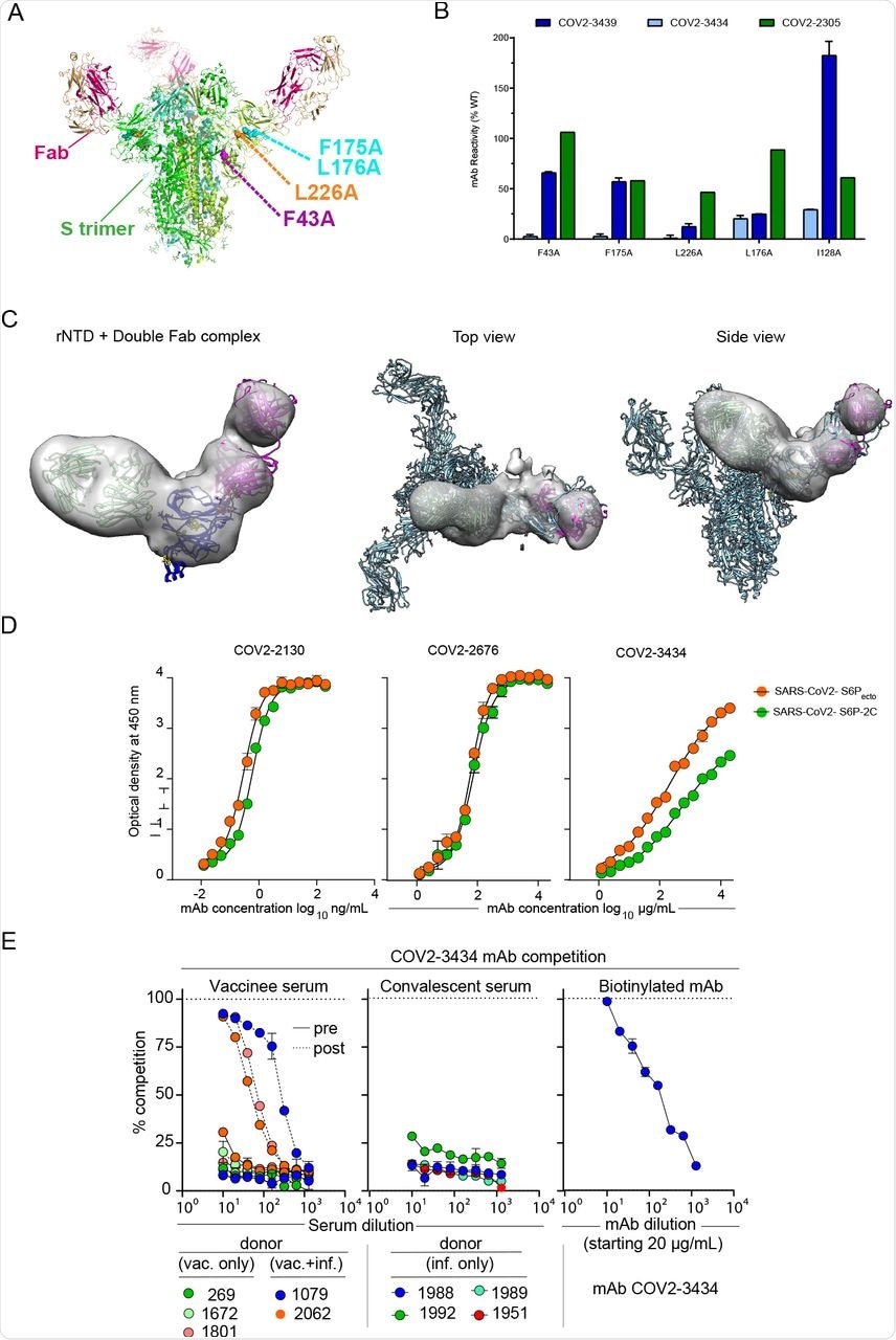 Structural characterization of the trimer-disrupting antibody COV2-3434.