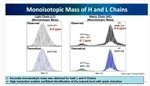 Ultrahigh-resolution mass spectrometers for heightened mAb characterization