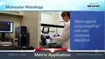Molecular histology - Bruker Life Sciences Mass Spectrometry imaging