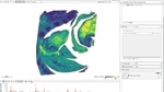 Overview - Using SCiLS Lab and QuPath to integrate mass spectrometry imaging with histology