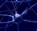 Novel biomarker can be used to identify disease progression in ALS
