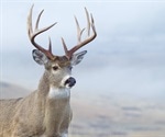 High SARS-CoV-2 seroprevalence among captive white-tailed deer in Texas
