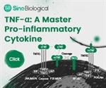 Tumor necrosis factor-(TNF-α): An important pro-inflammatory cytokine