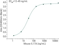 Mouse IL17 Protein | 51065-MNAE. Immobilized mouse Il17A binds to mouse IL17RA(Cat: 50328-M08H).