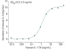 Human IL17 Protein | 12047-HNAE.