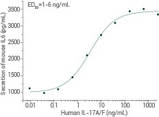 Human IL17A & IL17F Heterodimer | CT047-HNAE.