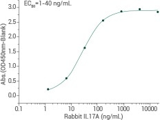 Rabbit IL17 Protein | 65006-T07B. Immobilized rabbit IL17A binds to rat IL17RA(Cat: 80190-R02H).