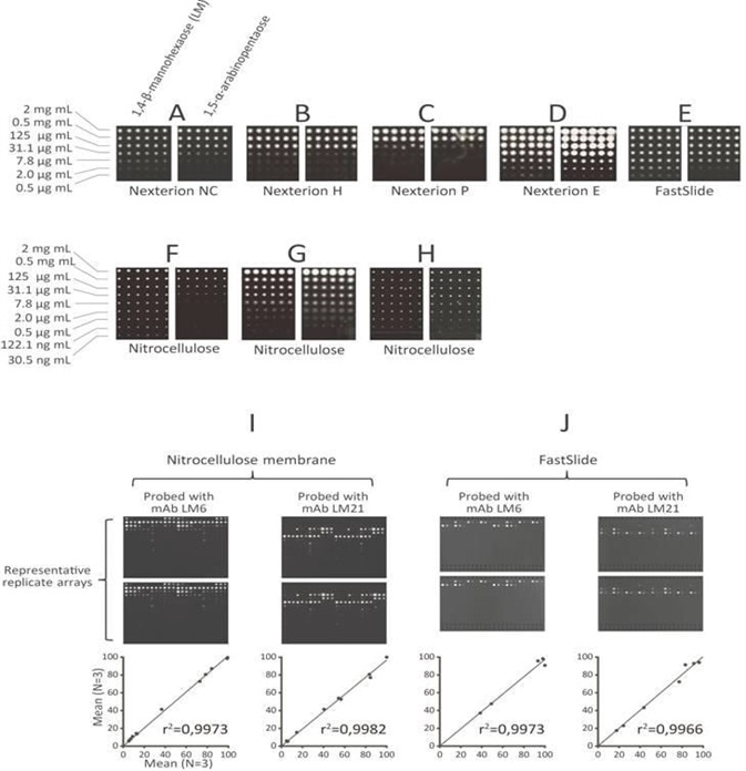 Reproducibility of the microarrays was tested by printing 12 copies of arrays on both nitrocellulose membrane (A) and nitrocellulose coated glass Fast slides (B). Representative replicate arrays are shown and also graphs of mean spot signals from 3 arrays plotted against each other. Axes on the graphs are relative mean spot signals. r²= coefficient of determination, equals to the proportion of variability explained by the linear relationship between X and Y.