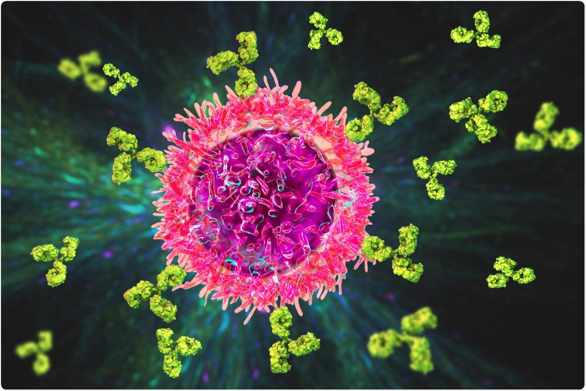 Study: No substantial pre-existing B cell immunity against SARS-CoV-2 in healthy adults. Image Credit: Kateryna Kon / Shutterstock.com