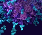 Novel ACE2-blocking antibody protects against all SARS-CoV-2 VOCs