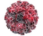 Novel fast-spreading HIV-1 variant found circulating in the Netherlands
