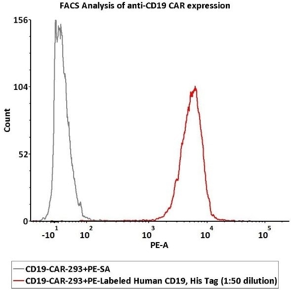 CAR-T therapy: Grading and mitigating Cytokine Release Syndrome (CRS)