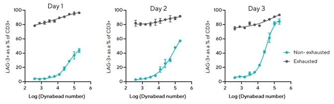 LAG-3 overexpression persists on exhausted T cells over 3 days.