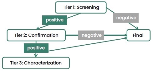 Multi-Tiered Testing Approach.