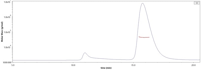 The purity of SARS-CoV-2 Spike RBD, His Tag (B.1.1.529/Omicron) (Cat. No. SPD-C522e) is more than 90% and the molecular weight of this protein is around 33-48 kDa verified by SEC-MALS.