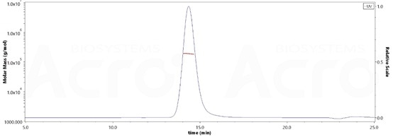 The purity of Rat PSMA, His Tag (Cat. No. PSA-R5245) is more than 90% and the molecular weight of this protein is around 170-208 kDa verified by SEC-MALS.