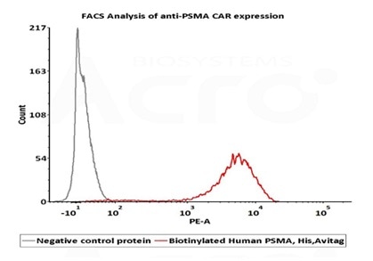 2e5 of PSMA-CAR-293 cells transfected with anti-PSMA-scFv were stained with 100μl of 1μg/mL of Biotinylated Human PSMA, His,Avitag (Cat. No. PSA-H82Qb) and negative control protein respectively, washed and then followed by PE-SA and analyzed with FACS (Routiney tested).