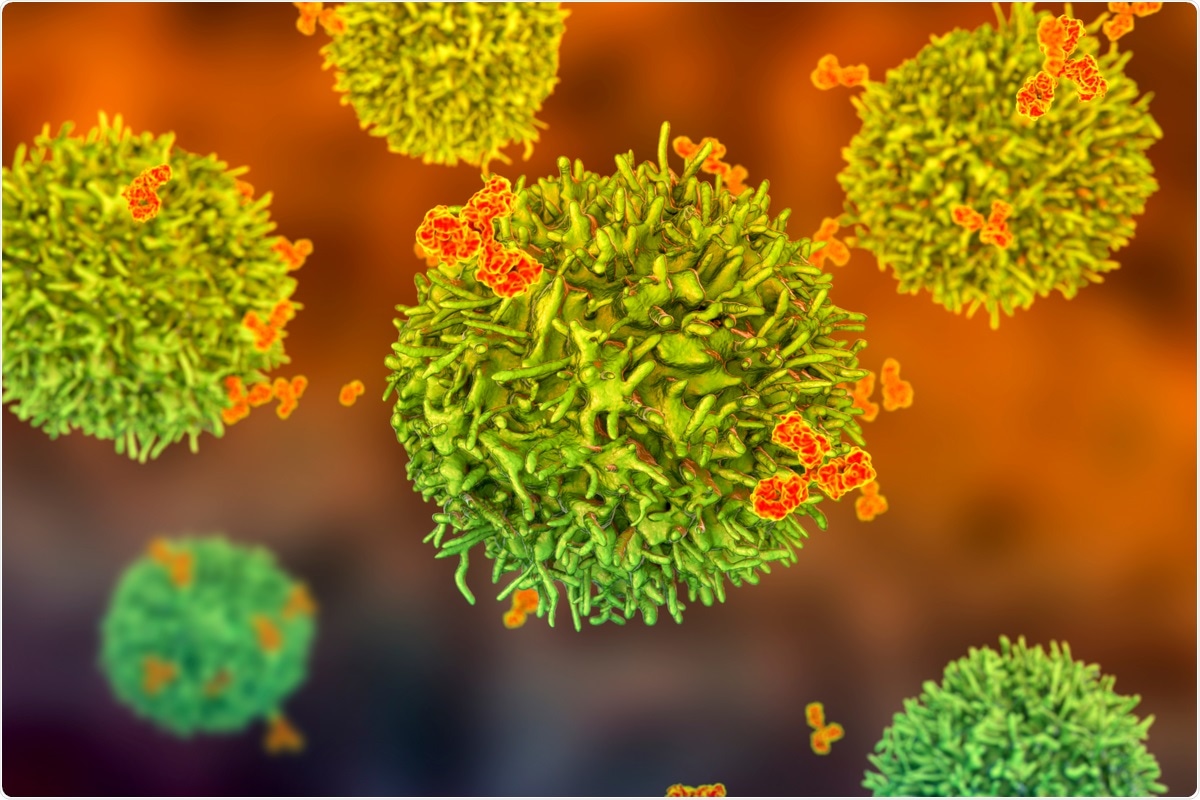 Study: No substantial preexisting B cell immunity against SARS-CoV-2 in healthy adults. Image Credit: Kateryna Kon / Shutterstock.com