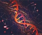 Bioactive small molecules enhance CRISPR/Cas9 loss-of-function editing in human cells
