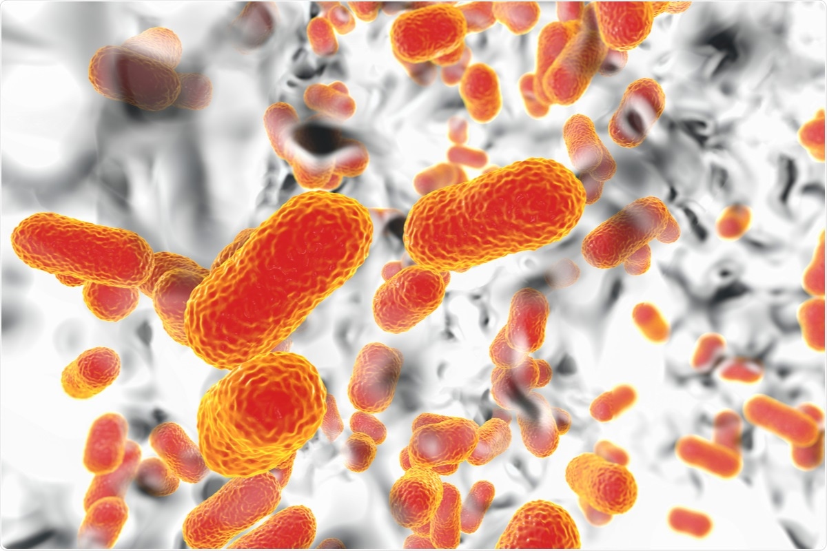 Study: Antimicrobial Resistance (AMR) In COVID-19 Patients: A Systematic Review and Meta-Analysis (November 2019-June 2021). Image Credit: Kateryna Kon / Shutterstock.com