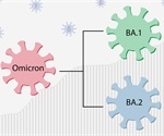 Infection with Omicron sub-lineage BA.1 protects from reinfection against BA.2 sub-lineage and vice-versa