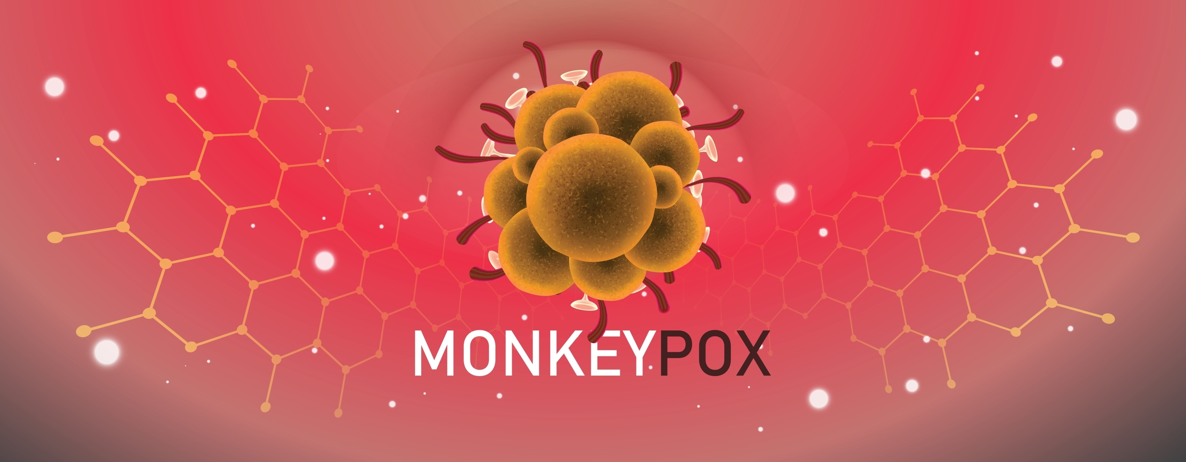 Insights into Monkeypox