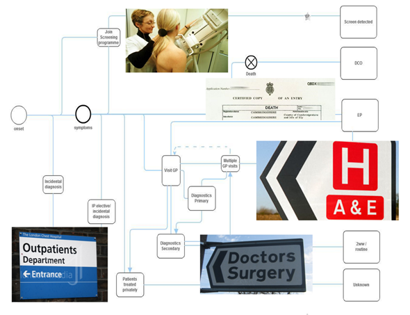 Flow Chart of Diagnosis Process