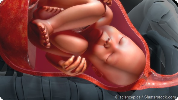 3D image of baby in womb