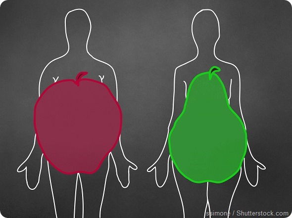 Apple pear body shapes