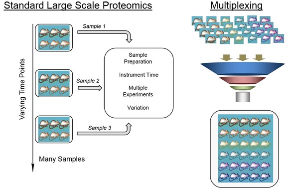 Standard large scale proteomics vs multiplexing