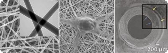 The left panel shows a closeup of chitosan and polyester fibers woven at the nanometer scale. The middle panel shows a nerve cell growing on the resulting mesh, which has a texture similar to the body