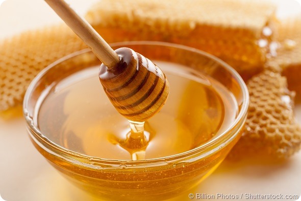 Honey, Honeycomb, Honey Bee