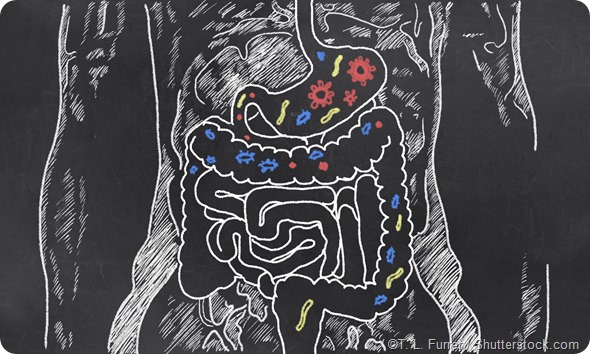 Intestines bacteria chalk drawing