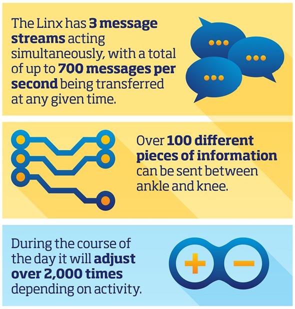 Linx prosthetic